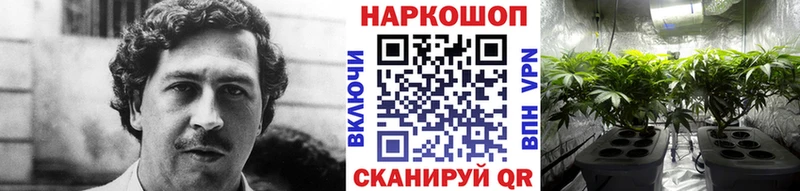 Купить закладку Спас-Деменск АМФ Меф А ПВП ГАШ КОКАИН