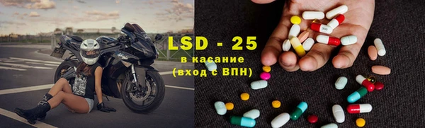 прущие грибы Тайга