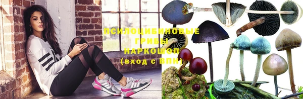 тгк Зерноград
